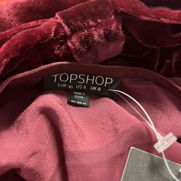 Topshop Womens Short Sleeve Velvet Sheer Striped Top Sz 4 Bow Back Holiday NWT - Picture 5 of 8